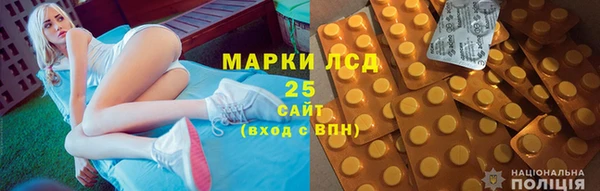 СК Тайга