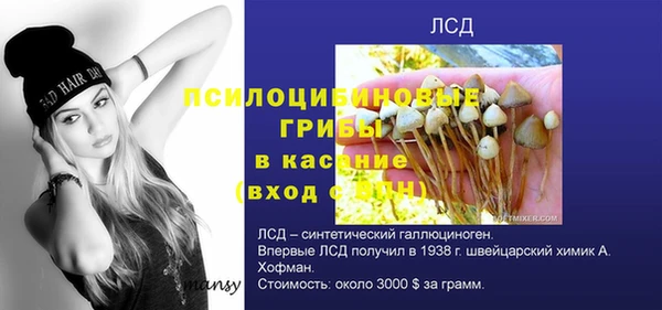 СК Сясьстрой