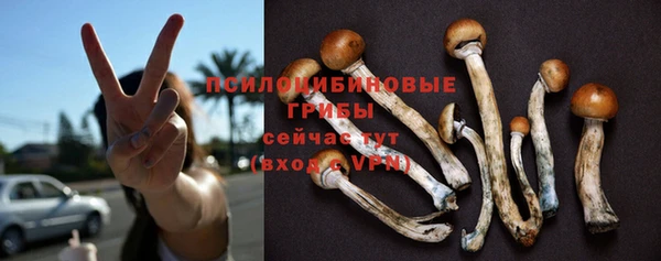 таблы Тавда