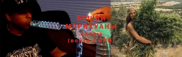 СК Тайга