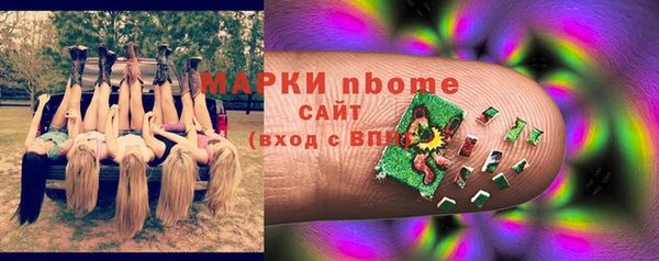 СК Тайга