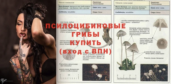 СК Тайга