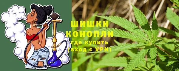 СК Тайга