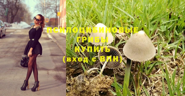 таблы Тавда