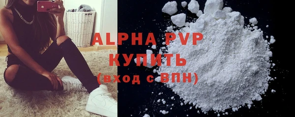 СК Сясьстрой
