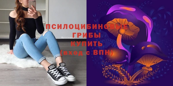 СК Сясьстрой